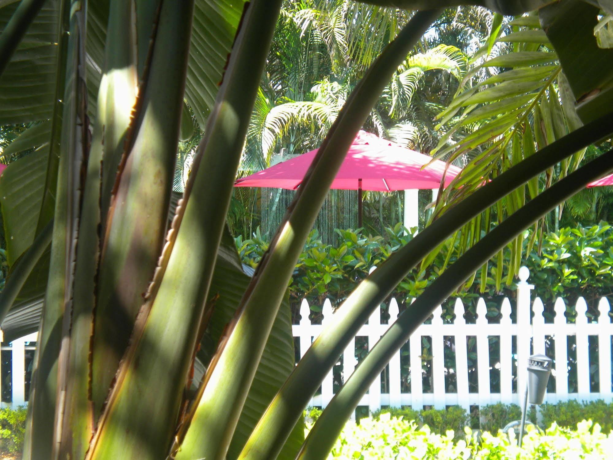 Casa Grandview Inn West Palm Beach Zewnętrze zdjęcie